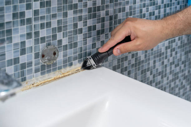 Best Emergency Mold Removal  in Zephyrhills North, FL