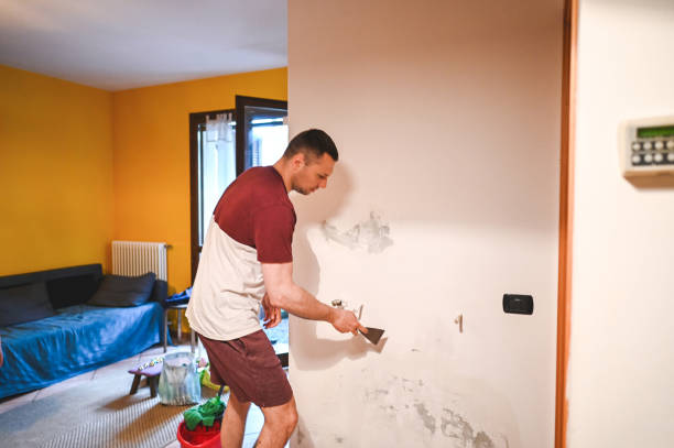 Best Home Mold Removal  in Zephyrhills North, FL